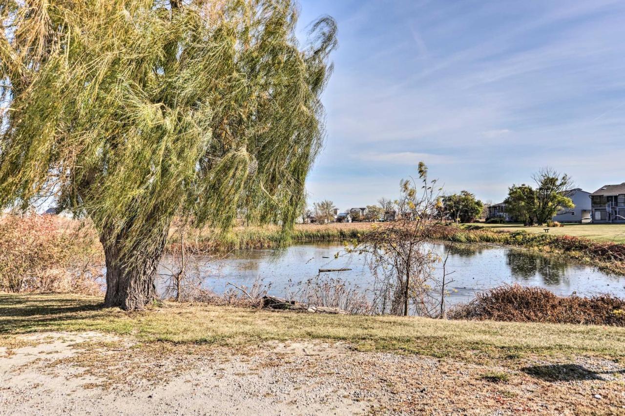 Quaint Couples Escape Pool, Near Erie! * Oak Harbor