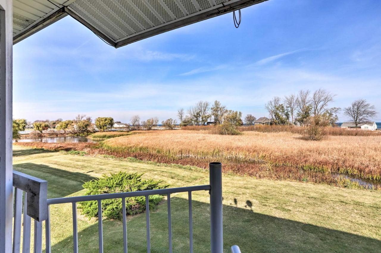 Quaint Couples Escape Pool, Near Erie! Oak Harbor